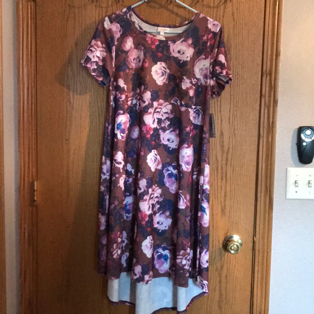 Lularoe Carly small